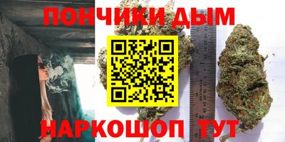 индика Краснознаменск