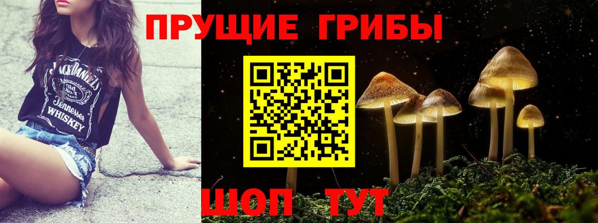 Ишим  Псилоцибиновые грибы мицелий  где купить наркоту  Вход с VPN 
